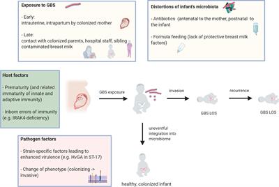 Invasive Group B Streptococcus Disease With Recurrence and in Multiples: Towards a Better Understanding of GBS Late-Onset Sepsis